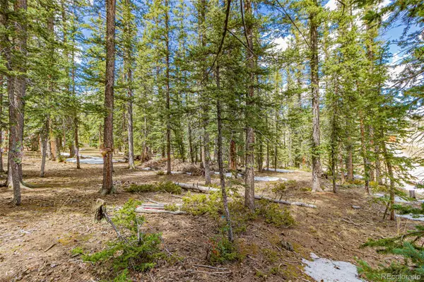 402 Silvermoon HTS, Divide, CO 80814