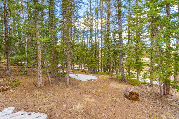 402 Silvermoon HTS, Divide, CO 80814