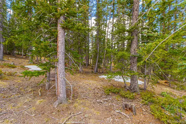 402 Silvermoon HTS, Divide, CO 80814