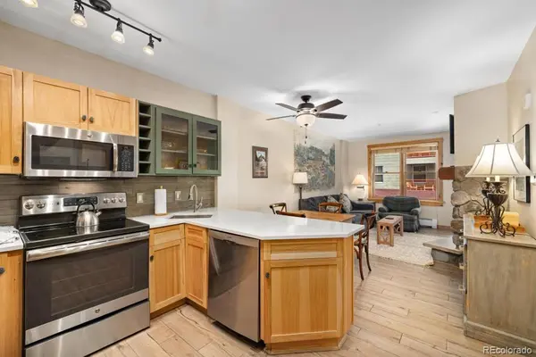 100 Dercum SQ #8329, Dillon, CO 80435
