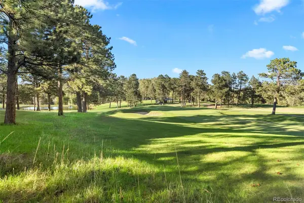 31321 Island DR, Evergreen, CO 80439