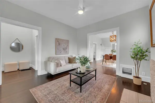 876 S Grant ST, Denver, CO 80209