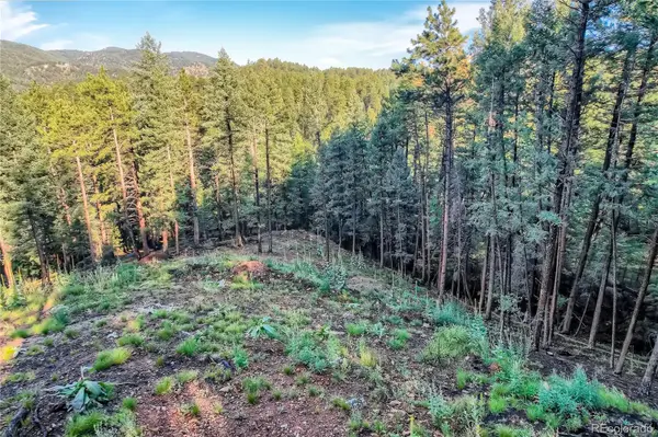 5289 S Algonquin RD, Indian Hills, CO 80454