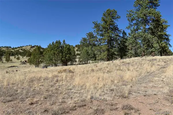 721 1st ST, Guffey, CO 80820