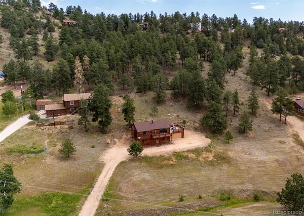 1047 Sleepy Hollow DR, Bailey, CO 80421