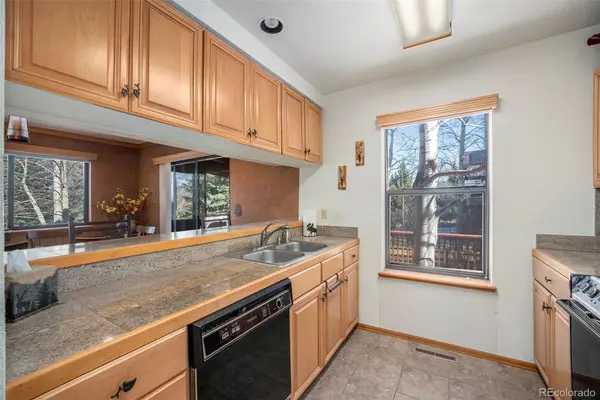 740 S 5th AVE, Frisco, CO 80443