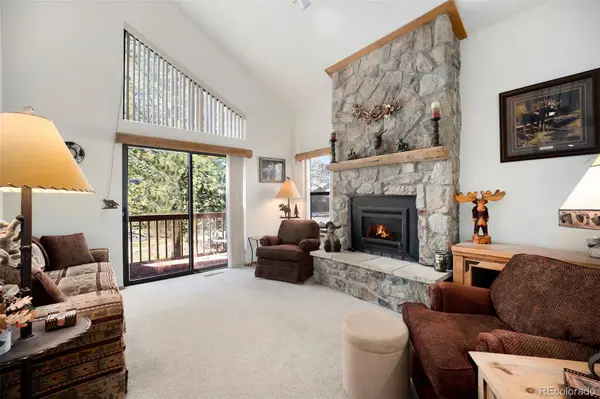 740 S 5th AVE, Frisco, CO 80443