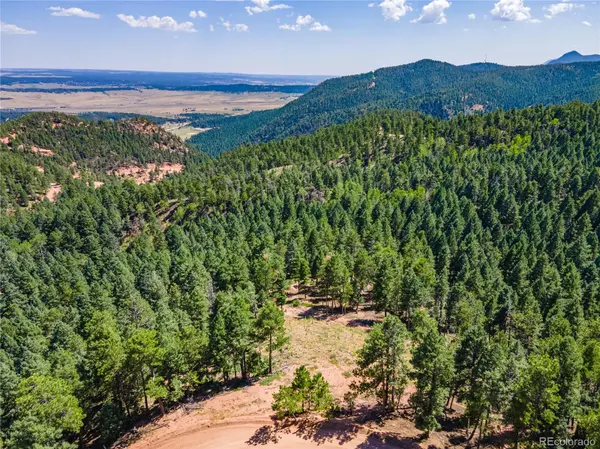 2532 Elk Park RD, Larkspur, CO 80118