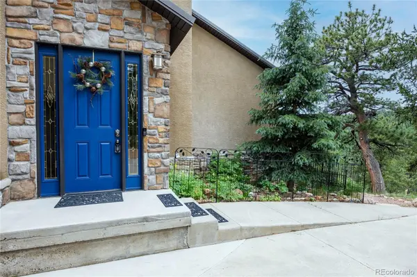 239 Wildlife PT, Divide, CO 80814