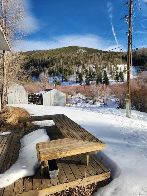 974 Straight Creek DR, Dillon, CO 80435