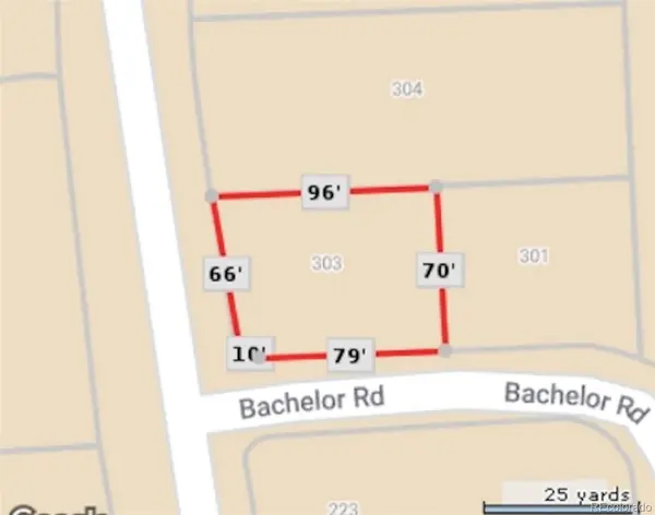 303 Rue La Fong LN, Creede, CO 81130