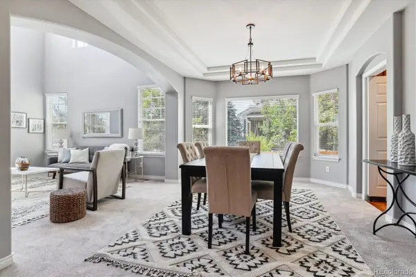 1007 Cryolite PL, Castle Rock, CO 80108