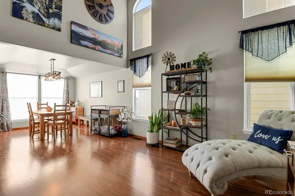 21806 Saddlebrook, Parker, CO 80138