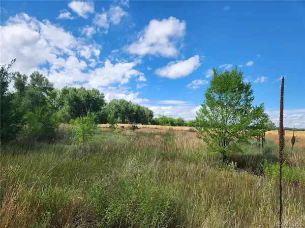 0000 State ST, Antonito, CO 81120