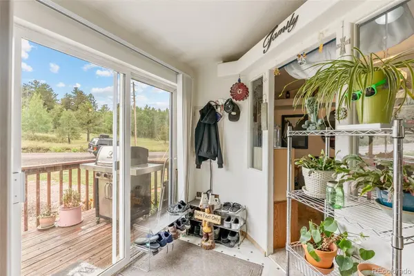 25947 Snyder AVE, Conifer, CO 80433