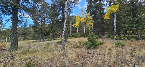 54 Garnet LN, Pine, CO 80470