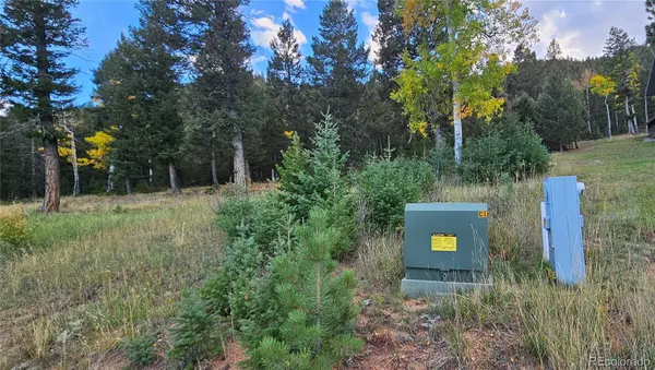 54 Garnet LN, Pine, CO 80470
