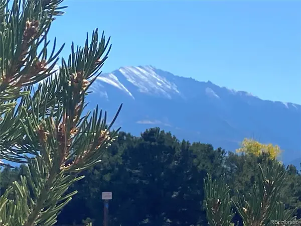 15620 Buffalo MDWS, Buena Vista, CO 81211