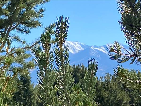 15620 Buffalo MDWS, Buena Vista, CO 81211