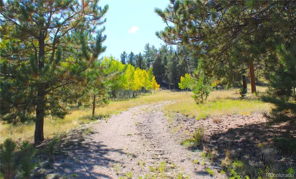 362 Sombrero RD, Hartsel, CO 80449