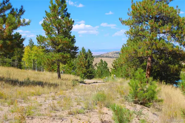 362 Sombrero RD, Hartsel, CO 80449