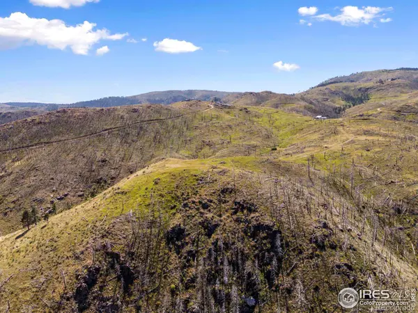 499 Helms Deep RD, Bellvue, CO 80512