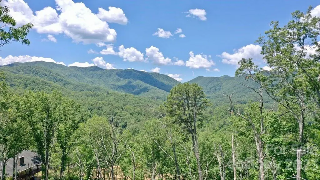 419 Tuskeegee ALY, Robbinsville, NC 28771