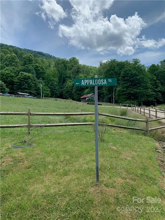 0 Appaloosa TRL #R9, Waynesville, NC 28785