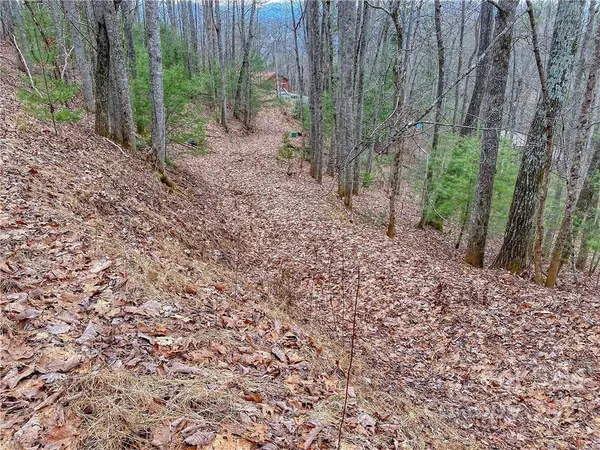 00 Indigo LN #126, Franklin, NC 28734