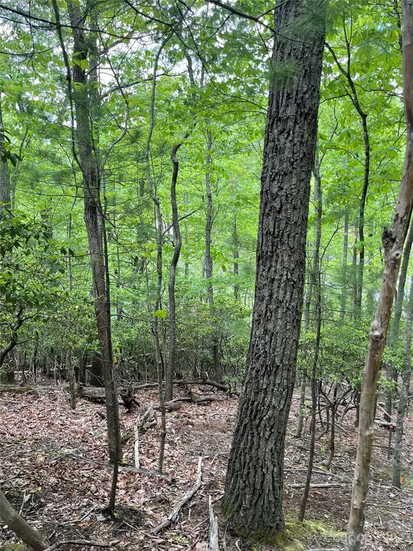 Lot 65 Hawk Ridge RD #65, Deep Gap, NC 28618