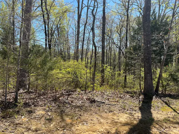 7364 Barrington Ridge DR #20, Indian Land, SC 29707