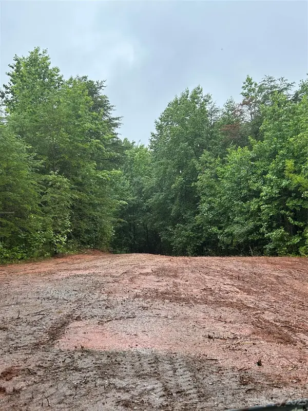 109 Parker RD, Casar, NC 28020