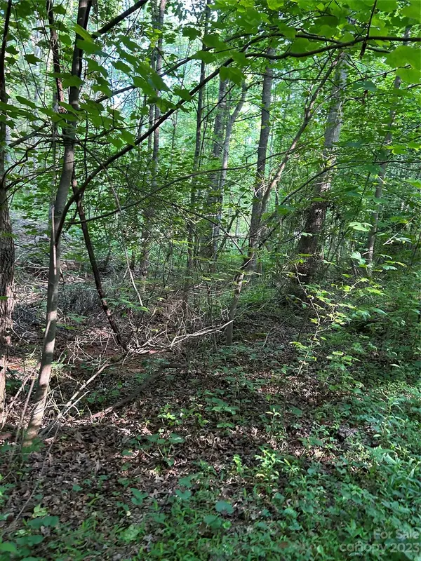 109 Parker RD, Casar, NC 28020