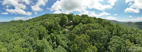 800 Grizzly RDG, Bryson City, NC 28713