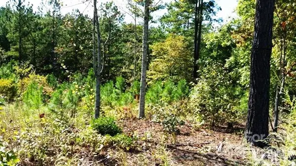 3187 Panoramic Vista CT NE #62,  Connelly Springs,  NC 28612