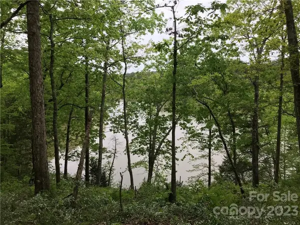 04 Serenity Shores Goings RD,  Chester,  SC 29706