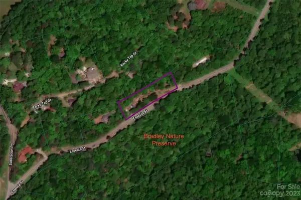 641 Esseola ST, Saluda, NC 28773