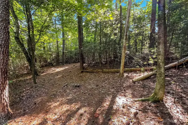 V/L Forest Lake Heights DR, Nebo, NC 28761