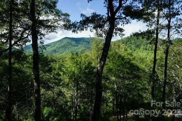 419 Tuskeegee ALY, Robbinsville, NC 28771