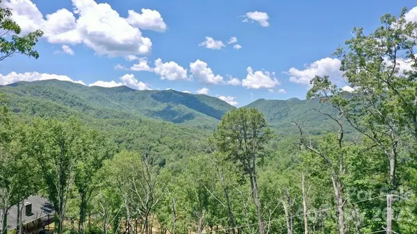 419 Tuskeegee ALY, Robbinsville, NC 28771