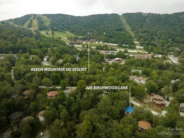 228 Birchwood LN, Beech Mountain, NC 28604