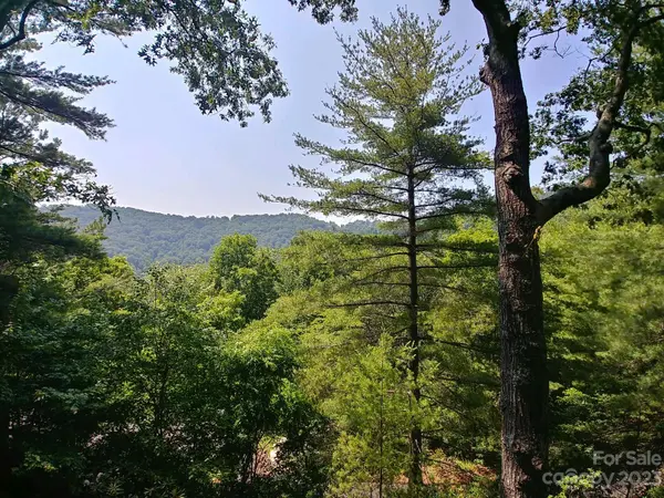 55 Covewood RD, Asheville, NC 28805