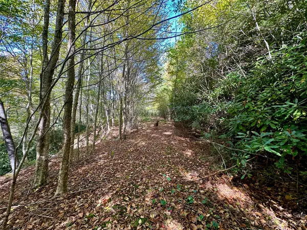 TBD hickory nut gap RD Banner Elk, NC 28604