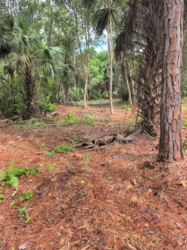 MARIE AVE, Deland, FL 32720