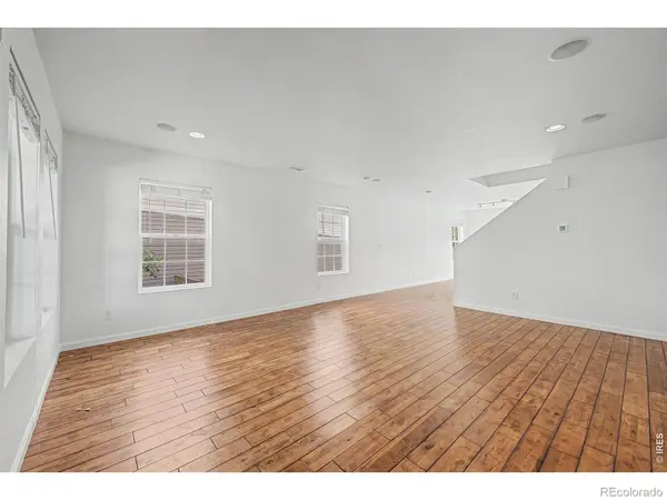 3505 Dinosaur ST, Castle Rock, CO 80109