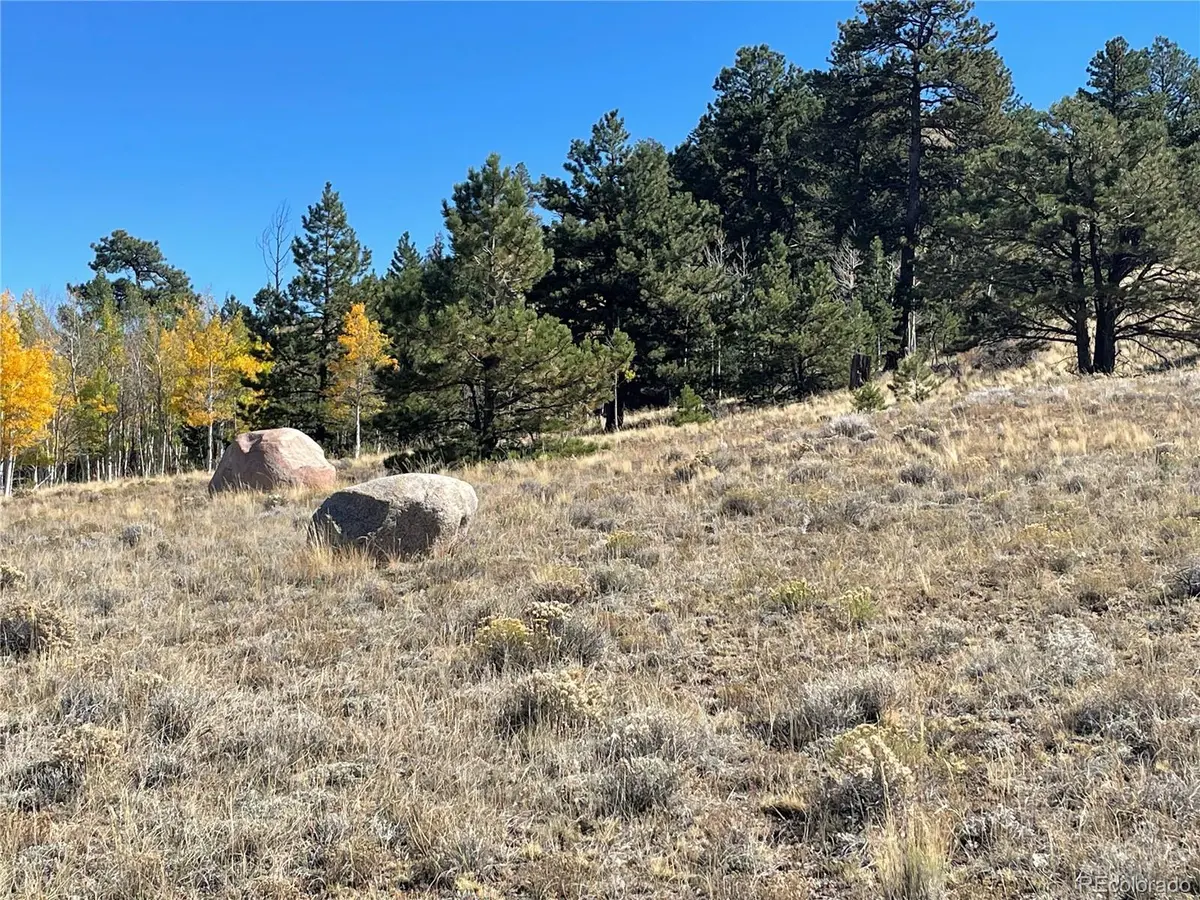 23 Loft WAY, Hartsel, CO 80449