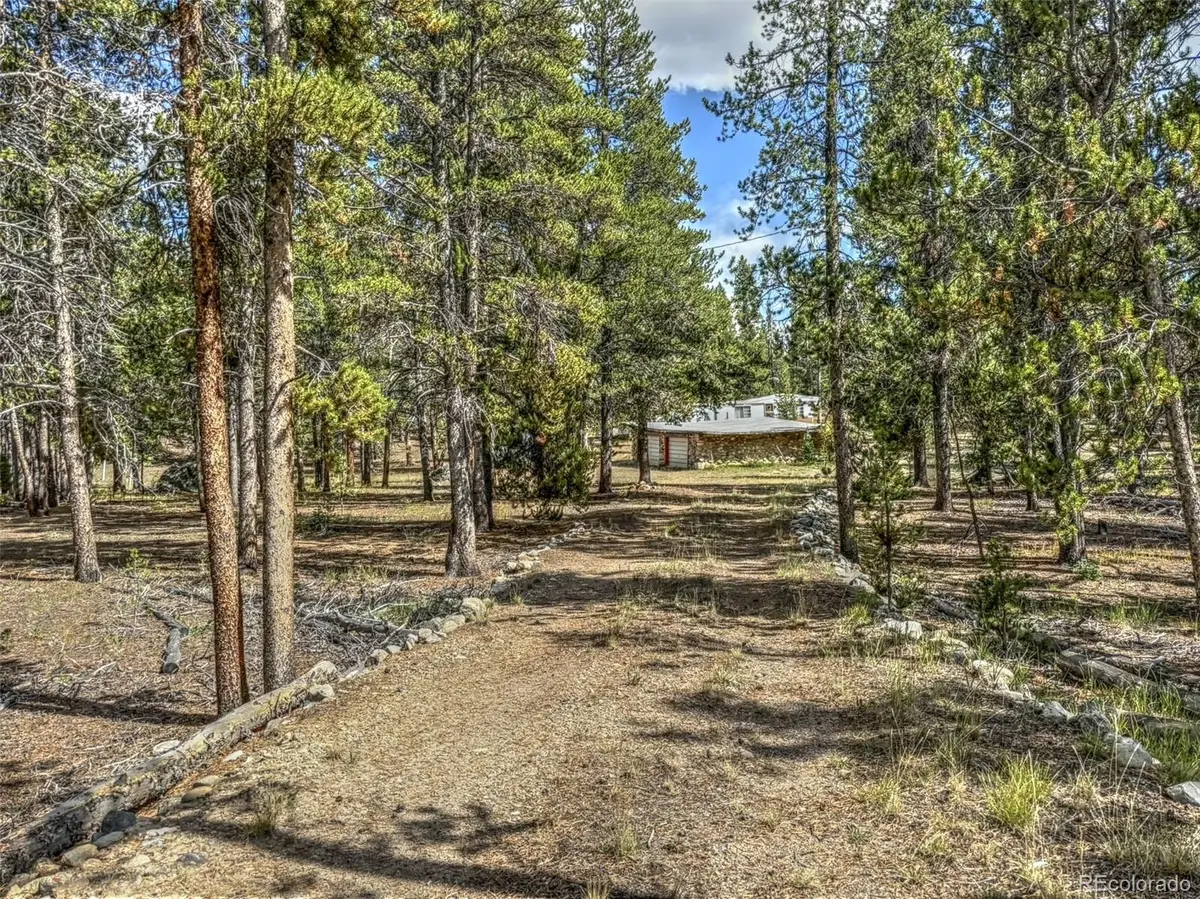 265 Placer DR, Alma, CO 80420