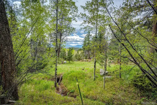 12346 Bear Haven RD,  Conifer,  CO 80433