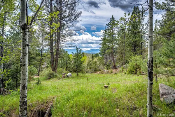 12346 Bear Haven RD, Conifer, CO 80433