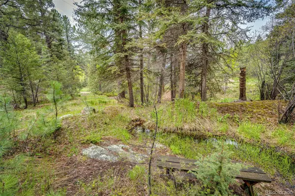 12346 Bear Haven RD, Conifer, CO 80433
